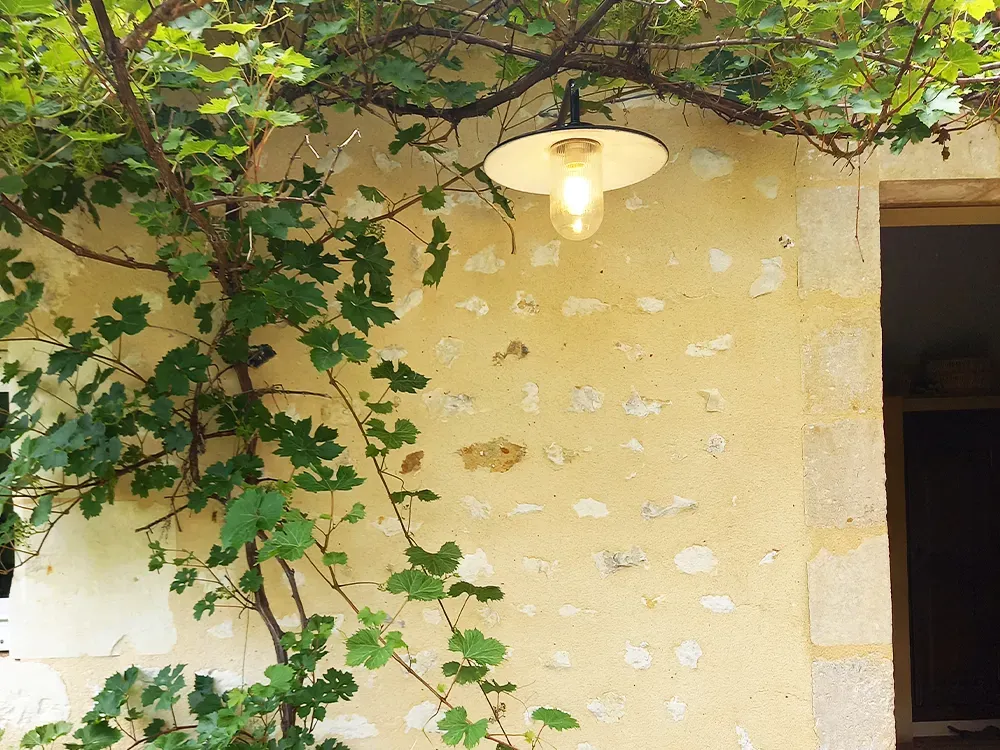 AS-Elec-à-La-Chapelle-du-Bois webp